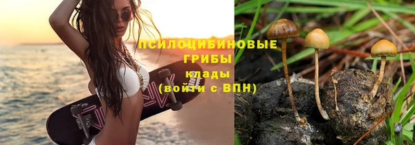 2c-b Богородск