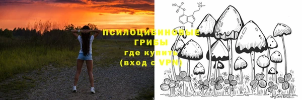 2c-b Богородск